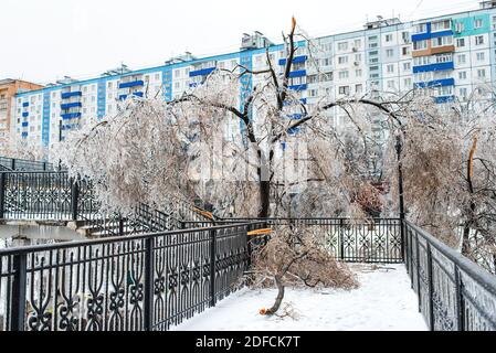 Zerbrochene und gefallene Äste nach einem Eissturm. Bäume mit Eis und Schnee bedeckt. Schlechtes Schneewetter. Stadt im Winter. Stockfoto