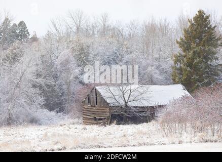 Verwitterte und verrostete Holzhütte an einem kalten verschneiten Herbsttag in der Nähe von Dunrobin, Kanada Stockfoto
