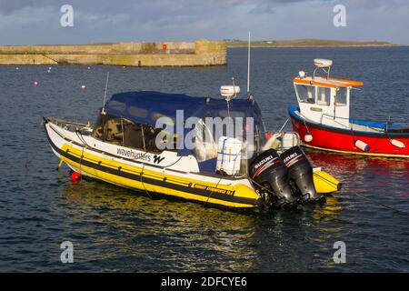 2. Dezember 2020 Donaghadee Hafen und Leuchtturm auf den Ards Halbinsel in Nordirland badete in Wintersonne auf einem nacht noch kalten Winter danach Stockfoto