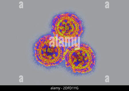 Coronavirus Stockfoto