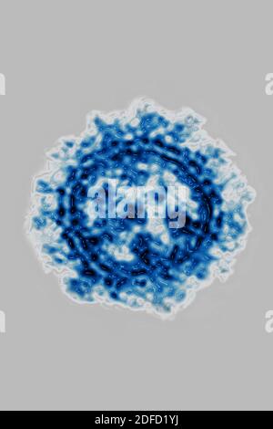 Coronavirus Stockfoto