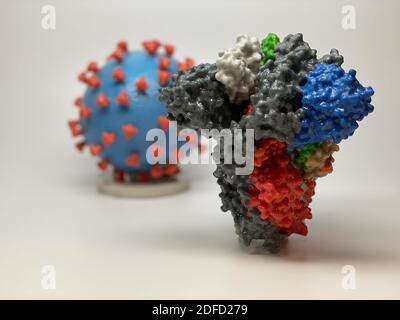 Neuartiges Coronavirus sars-Cov-2 Spike Protein Stockfoto