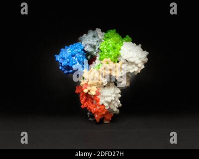 Neuartiges Coronavirus sars-Cov-2 Spike Protein Stockfoto