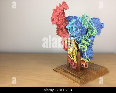 3d-Druck von MERS-Cov Spike Stockfoto