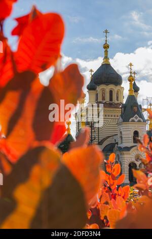 Foros Kirche im Herbst der Krim am 07. November 2020. Kirche Der Auferstehung. Nahaufnahme durch die rote Scumpia. Ein beliebter Tourist destin Stockfoto