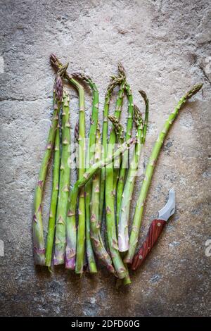 Grüner Spargel (Spargel officinalis). Stockfoto