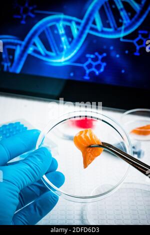 Illustration zur Produktion von gentechnisch verändertem Lachs. Stockfoto