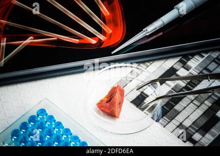 Illustration über die Herstellung von genetisch verändertem Fleisch. Stockfoto