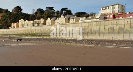 Die neue Ufermauer in Dawlish wurde 2020 angehoben und wieder aufgebaut, mit Blick auf den Lea Mount bei Ebbe. (Siehe Hinweis). Stockfoto