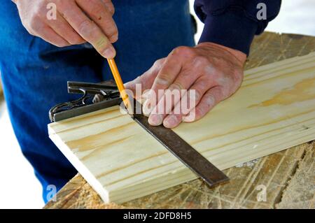 Zimmermann mit Hand quadratischen Werkzeug, um eine genaue Messung zu machen Stockfoto