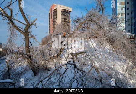 Zerbrochener Baumstamm und Äste nach einem eisigen Regen. Stockfoto