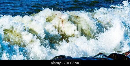 Brüllende Wellen mit Schaum, die im Sturm auf Felsen auf einem Wellenbrecherpier krachen. Stockfoto