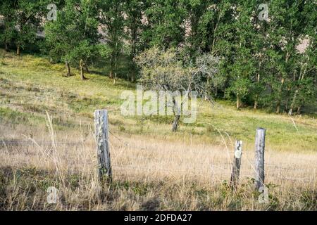 Landschaft in der Nähe des Roquefort-sur-Soulzon, Frankreich, Europa. Stockfoto