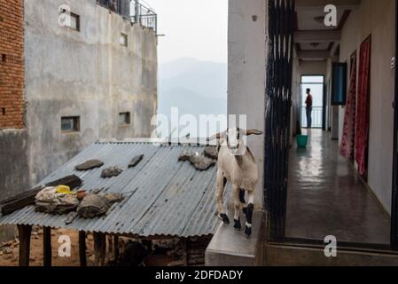 Tägliches Leben in Bandipur, Nepal Stockfoto