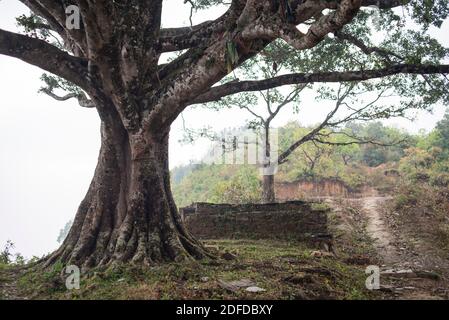 Tägliches Leben in Bandipur, Nepal Stockfoto