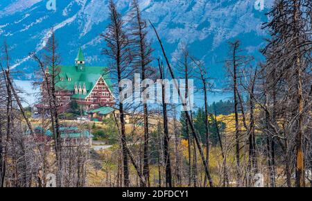 Bears Hump Wanderweg nach Kenow Wildfire im Herbst 2020. Waterton Lakes National Park, Alberta, Kanada. Stockfoto