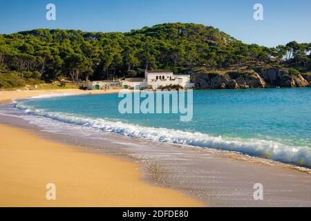 Blick auf den nördlichen Teil von ​​the geschützter Stadtstrand von Castell de Palamos an einem verlassenen sonnigen Herbsttag. Costa Brava, Katalonien, Spanien Stockfoto