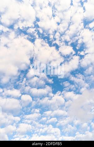 Herbstwolken schweben während der Dämmerung über dem Himmel East Village in New York Stockfoto