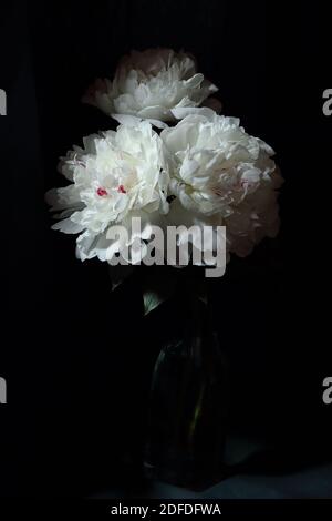 Pfingstrosen-Bouquet, dunkel launisch florale Komposition im barocken künstlerischen Stil, vertikal, Art Design Konzept Stockfoto