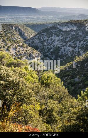 Luftaufnahme des Klosters Senanque im Maestral, Provence, Frankreich, Europa. Stockfoto
