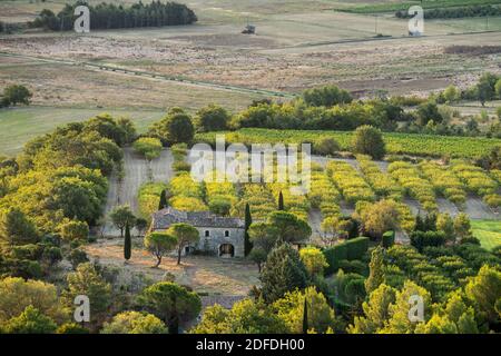 Landhaus in der Landschaft der Provence, Frankreich, Europa. Stockfoto