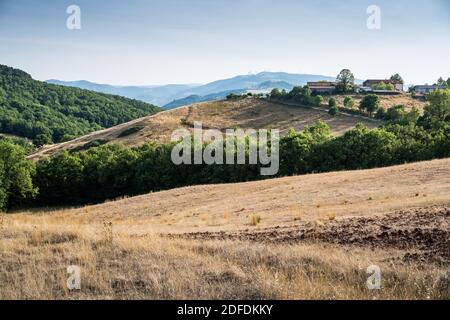 Landschaft in der Nähe des Roquefort-sur-Soulzon, Frankreich, Europa. Stockfoto