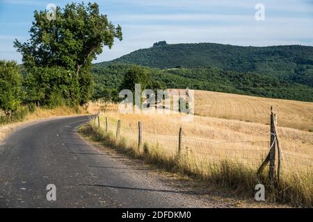 Landschaft in der Nähe des Roquefort-sur-Soulzon, Frankreich, Europa. Stockfoto