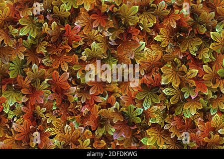 Eine 3d-Hintergrunddarstellung von Herbstblättern. Schichten von Rosskastanienblättern in Herbstfarben von grün und braun. Stockfoto