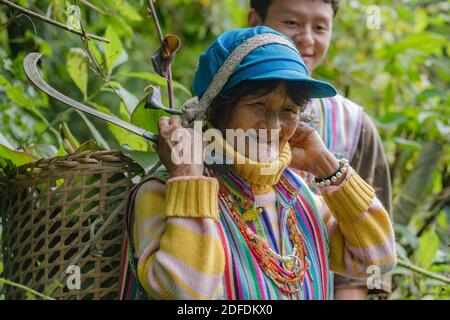 (201204) -- GONGSHAN, 4. Dezember 2020 (Xinhua) -- Kong Dangna bereitet sich darauf vor, den Berg hinunterzufahren, nachdem er im Dorf Kongdang der Gemeinde Dulongjiang, im Autonomen Kreis Gongshan Dulong und Nu, südwestlich der Provinz Yunnan, Futterrasen geerntet hat, 31. Oktober 2020. Die 78-jährige Kong Dangna aus der Dulong-Ethnie erlebte einst Jahre mit ungenügender Nahrung und Kleidung und lebte von Brandrost-Anbau. In jenen Tagen dachte sie, das beste Leben sei, Buchweizennudeln für jede Mahlzeit zu essen. Dank der Hilfe der lokalen Regierung zog Kongs Familie vom Berg nach Stockfoto