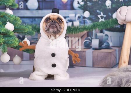 Lustige französische Bulldogge Hund trägt Schneemann Winterkostüm mit Stick Arme und Hut umgeben von Weihnachtsbaum und Geschenk Felder im Hintergrund Stockfoto