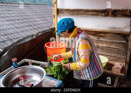 (201204) -- GONGSHAN, 4. Dezember 2020 (Xinhua) -- Kong Dangna wäscht Gemüse im Dorf Kongdang der Gemeinde Dulongjiang, Autonomen Kreis Gongshan Dulong und Nu im Südwesten der Provinz Yunnan, 31. Oktober 2020. Die 78-jährige Kong Dangna aus der Dulong-Ethnie erlebte einst Jahre mit ungenügender Nahrung und Kleidung und lebte von Brandrost-Anbau. In jenen Tagen dachte sie, das beste Leben sei, Buchweizennudeln für jede Mahlzeit zu essen. Dank der Hilfe der lokalen Regierung zog Kongs Familie vom Berg in ein Gebiet in der Nähe des Dorfkomitees. Die n Stockfoto