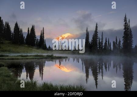 Mount Rainier späht durch die Wolken während des frühen Morgensonnenaufgangs Stockfoto