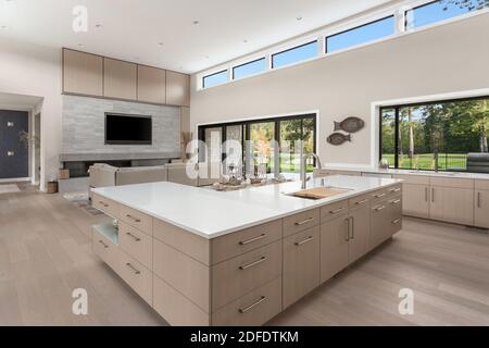 Geräumige Küche und Wohnzimmer im neuen zeitgenössischen Stil Luxus Zu Hause Stockfoto