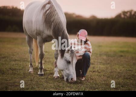 Die Berührung eines Pferdes Stockfoto