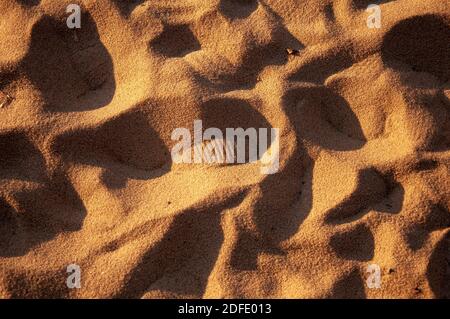 Bootprint auf dem Sand sonnig daher Schatten Gießen rechts. Stockfoto
