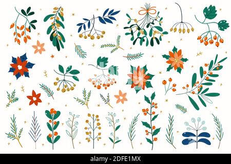 Weihnachtsvektorpflanzen, Stechpalme, weihnachtsbaum, Eberesche, Blätter Zweige, Feiertagsdekoration, Winter Symbole. Weihnachtskollektion mit Blumenmuster und Gewinn Stockfoto