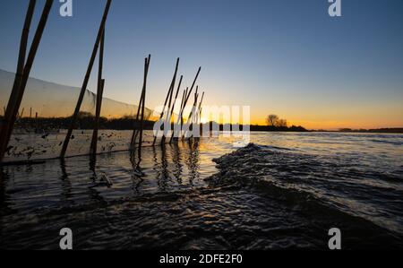 ELVER FISCHERNET BEI SONNENUNTERGANG AN DER TER FLUSSMÜNDUNG. TORROELLA DE MONTGRÍ - L'ESTARTIT, BAIX EMPORDÀ, GIRONA, KATALONIEN, SPANIEN, EUROPA. Stockfoto