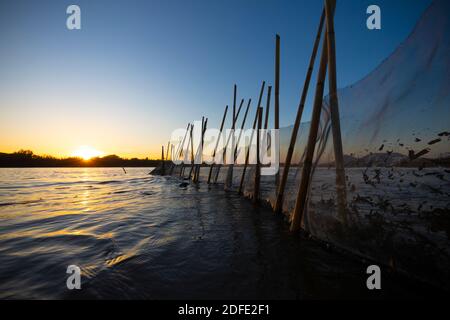 ELVER FISCHERNET BEI SONNENUNTERGANG AN DER TER FLUSSMÜNDUNG. TORROELLA DE MONTGRÍ - L'ESTARTIT, BAIX EMPORDÀ, GIRONA, KATALONIEN, SPANIEN, EUROPA. Stockfoto