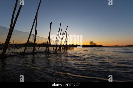 ELVER FISCHERNET BEI SONNENUNTERGANG AN DER TER FLUSSMÜNDUNG. TORROELLA DE MONTGRÍ - L'ESTARTIT, BAIX EMPORDÀ, GIRONA, KATALONIEN, SPANIEN, EUROPA. Stockfoto