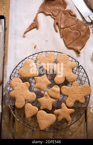 Verschiedene geformte Lebkuchenkekse auf Kühlregal Stockfoto