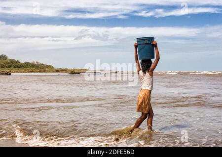 Junges Mädchen trägt einen Wäschekorb auf ihrem Kopf entlang des Flusses. Barra Platano, Mosquitia, Honduras Stockfoto