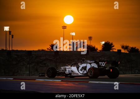 KVYAT Daniil (rus), Scuderia AlphaTauri Honda AT01, Aktion während des Formel 1 Rolex Sakhir Grand Prix 2020, vom 4. Bis 6. Dezember 2020 auf dem Bahrain International Circuit, in Sakhir, Bahrain - Foto Florent Gooden / DPPI / LM Stockfoto