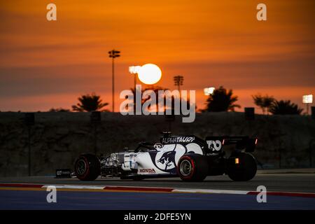 26 KVYAT Daniil (rus), Scuderia AlphaTauri Honda AT01, Aktion während des Formel 1 Rolex Sakhir Grand Prix 2020, vom 4. Bis 6. Dezember 2020 auf dem Bahrain International Circuit, in Sakhir, Bahrain - Foto Florent Gooden / DPPI / LM Stockfoto