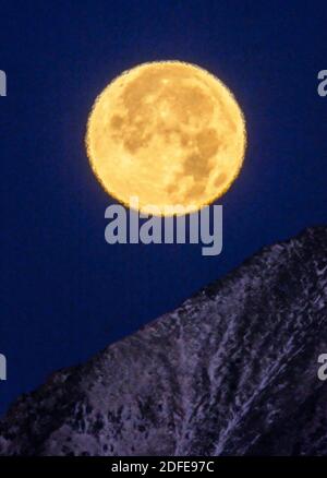 Vollbebermond; Frostmond, trauernder Mond; untergeht über Mt. Shavano (Höhe 14,229'),; in der Nähe von Salida; Colorado; USA Stockfoto