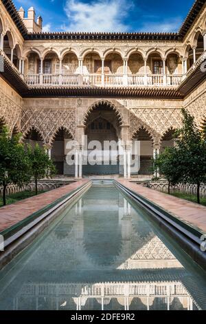 Die Königlichen Alcázaren von Sevilla, Spanien, Europa. Stockfoto