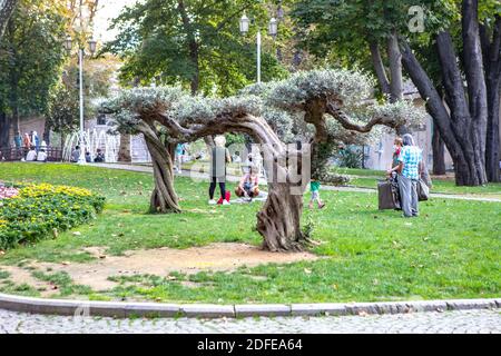 Gulhane Park neben dem alten osmanischen Palast, Topkapi Sarayi, in der Altstadt von Istanbu Stockfoto