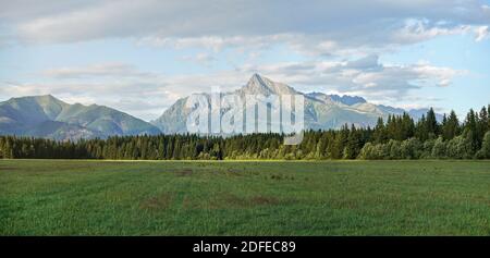 Sommerwiesenpanorama, mit Wald und Berg Krivan (slowakisches Symbol) Gipfel in der Ferne, nachmittags Wolken oben Stockfoto