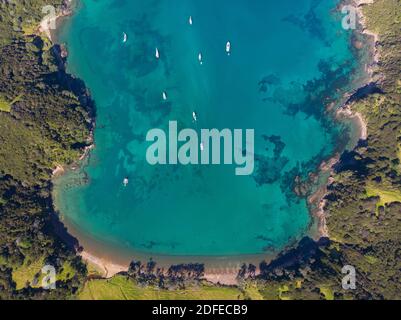 Segelboote vor Anker in Bay of Islands, NZ Stockfoto