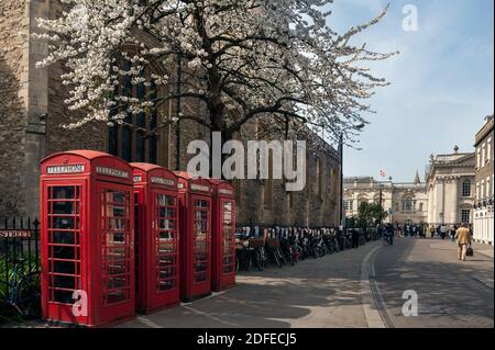 CAMBRIDGE, Großbritannien - 24. APRIL 2010: Alte rote Telefonzellen und Fahrräder in der St. Mary's Street Stockfoto