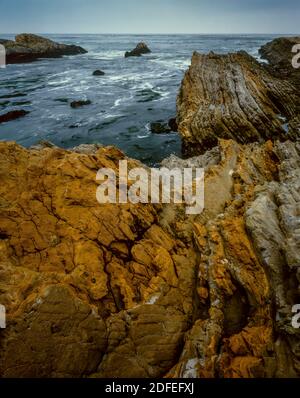 Monterey Schiefer, Montana de Oro State Park, San Luis Obispo County, Kalifornien Stockfoto